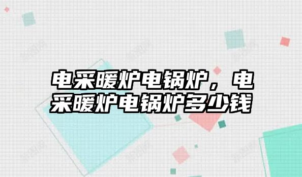 電采暖爐電鍋爐，電采暖爐電鍋爐多少錢