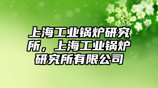 上海工業(yè)鍋爐研究所，上海工業(yè)鍋爐研究所有限公司