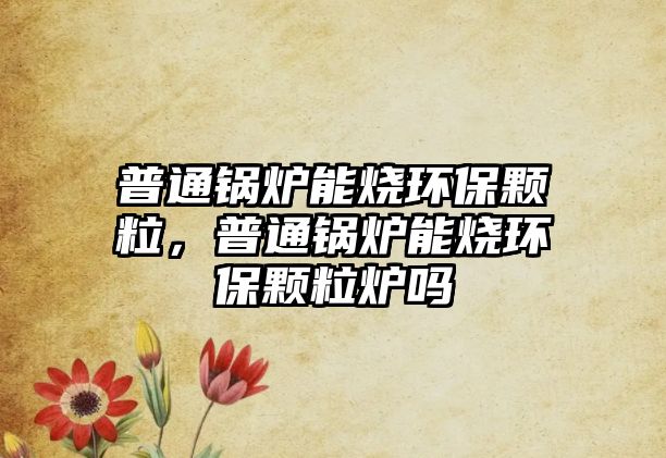 普通鍋爐能燒環(huán)保顆粒，普通鍋爐能燒環(huán)保顆粒爐嗎