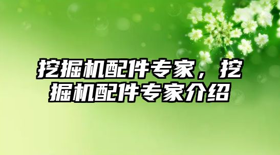 挖掘機配件專家，挖掘機配件專家介紹