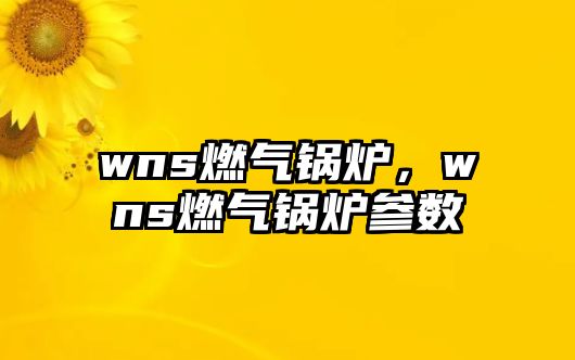 wns燃?xì)忮仩t，wns燃?xì)忮仩t參數(shù)