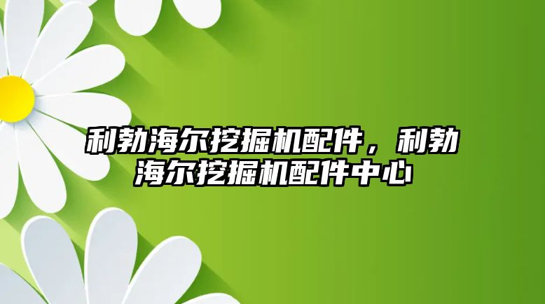 利勃海爾挖掘機配件，利勃海爾挖掘機配件中心