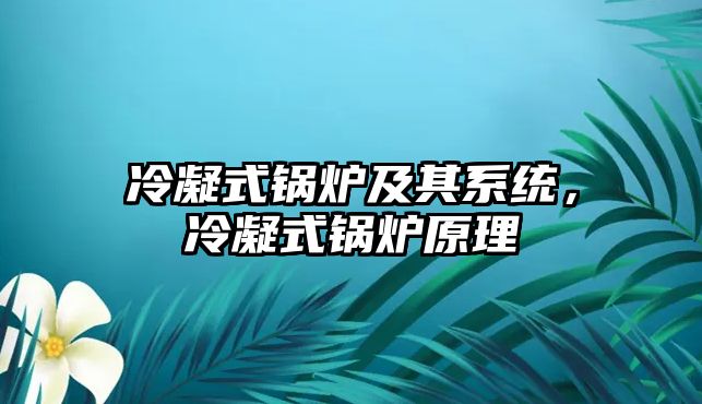 冷凝式鍋爐及其系統(tǒng)，冷凝式鍋爐原理