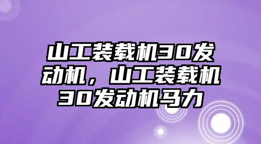 山工裝載機(jī)30發(fā)動(dòng)機(jī)，山工裝載機(jī)30發(fā)動(dòng)機(jī)馬力