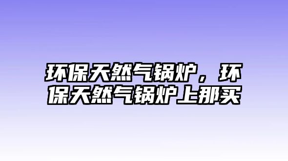 環(huán)保天然氣鍋爐，環(huán)保天然氣鍋爐上那買(mǎi)