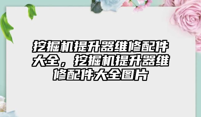 挖掘機提升器維修配件大全，挖掘機提升器維修配件大全圖片