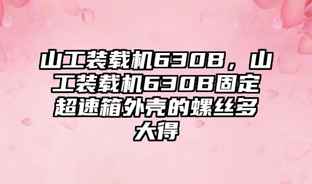 山工裝載機(jī)630B，山工裝載機(jī)630B固定超速箱外殼的螺絲多大得