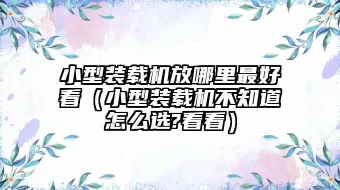 小型裝載機(jī)放哪里最好看（小型裝載機(jī)不知道怎么選?看看）