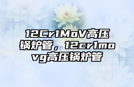 12Cr1MoV高壓鍋爐管，12cr1movg高壓鍋爐管