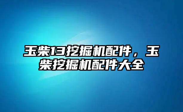 玉柴13挖掘機配件，玉柴挖掘機配件大全