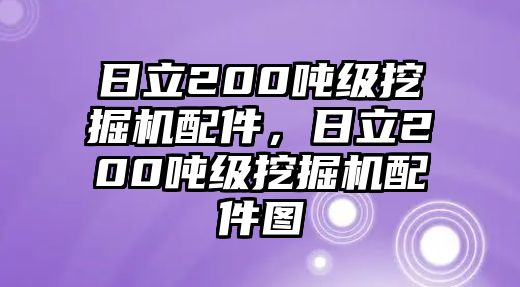 日立200噸級(jí)挖掘機(jī)配件，日立200噸級(jí)挖掘機(jī)配件圖