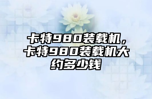 卡特980裝載機(jī)，卡特980裝載機(jī)大約多少錢(qián)