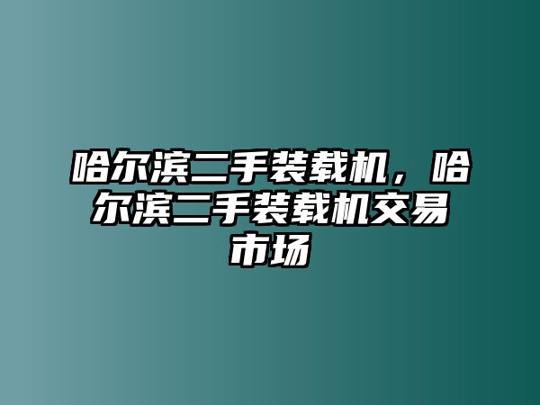 哈爾濱二手裝載機(jī)，哈爾濱二手裝載機(jī)交易市場(chǎng)