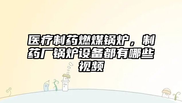 醫(yī)療制藥燃煤鍋爐，制藥廠鍋爐設備都有哪些視頻