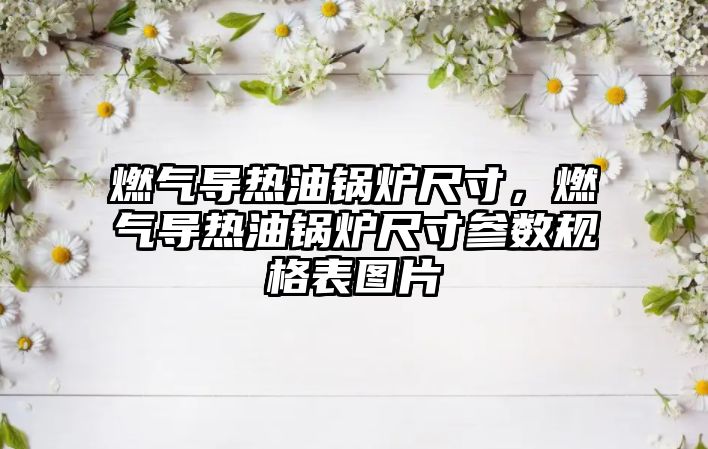 燃?xì)鈱?dǎo)熱油鍋爐尺寸，燃?xì)鈱?dǎo)熱油鍋爐尺寸參數(shù)規(guī)格表圖片