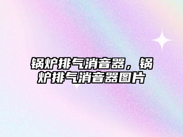 鍋爐排氣消音器，鍋爐排氣消音器圖片