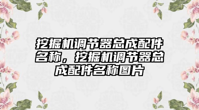 挖掘機(jī)調(diào)節(jié)器總成配件名稱，挖掘機(jī)調(diào)節(jié)器總成配件名稱圖片