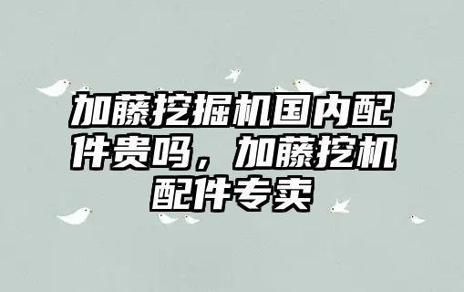 加藤挖掘機(jī)國(guó)內(nèi)配件貴嗎，加藤挖機(jī)配件專賣