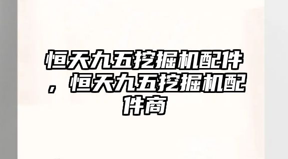 恒天九五挖掘機配件，恒天九五挖掘機配件商