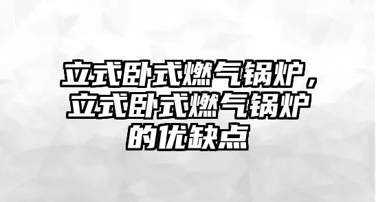 立式臥式燃?xì)忮仩t，立式臥式燃?xì)忮仩t的優(yōu)缺點(diǎn)