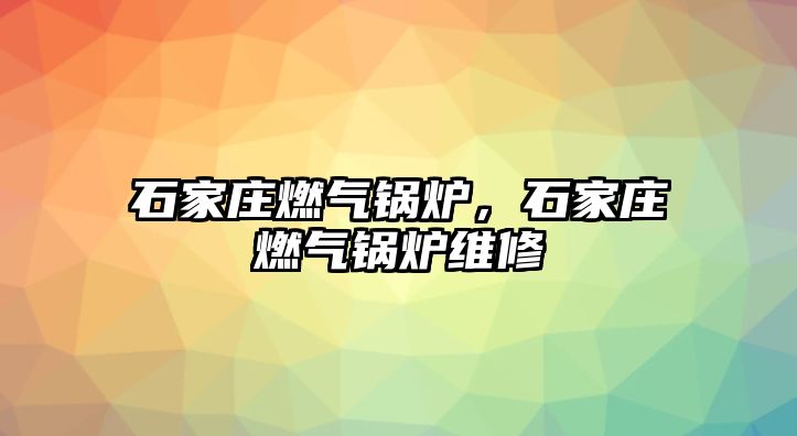 石家莊燃?xì)忮仩t，石家莊燃?xì)忮仩t維修