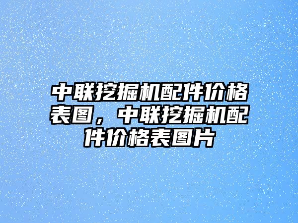 中聯(lián)挖掘機(jī)配件價格表圖，中聯(lián)挖掘機(jī)配件價格表圖片