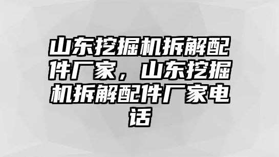 山東挖掘機(jī)拆解配件廠家，山東挖掘機(jī)拆解配件廠家電話