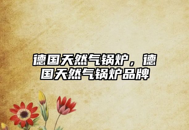 德國(guó)天然氣鍋爐，德國(guó)天然氣鍋爐品牌