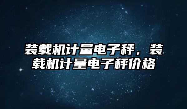 裝載機(jī)計(jì)量電子秤，裝載機(jī)計(jì)量電子秤價(jià)格