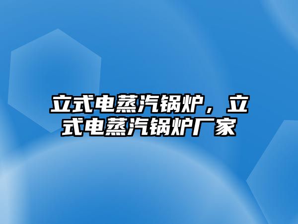 立式電蒸汽鍋爐，立式電蒸汽鍋爐廠家