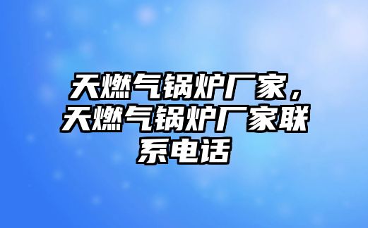 天燃?xì)忮仩t廠家，天燃?xì)忮仩t廠家聯(lián)系電話(huà)