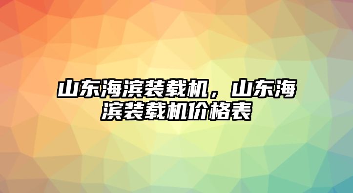 山東海濱裝載機，山東海濱裝載機價格表