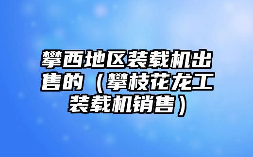 攀西地區(qū)裝載機出售的（攀枝花龍工裝載機銷售）