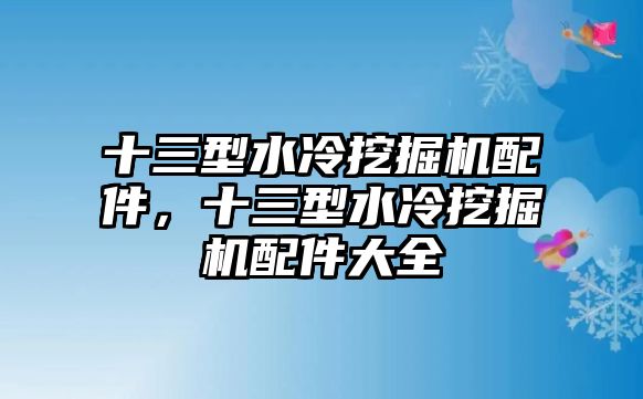 十三型水冷挖掘機配件，十三型水冷挖掘機配件大全