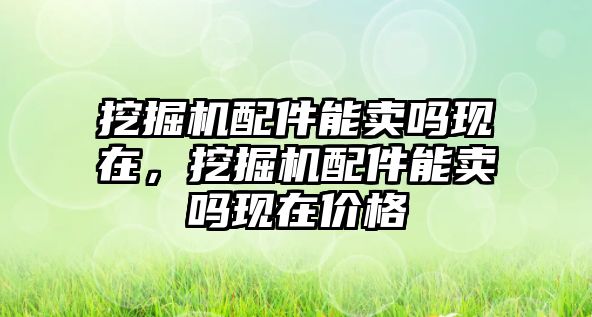 挖掘機配件能賣嗎現(xiàn)在，挖掘機配件能賣嗎現(xiàn)在價格