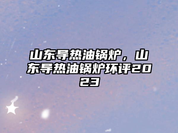 山東導(dǎo)熱油鍋爐，山東導(dǎo)熱油鍋爐環(huán)評2023