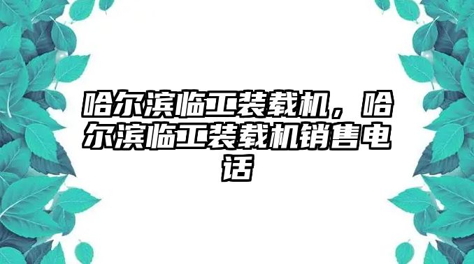 哈爾濱臨工裝載機，哈爾濱臨工裝載機銷售電話