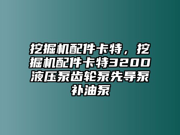 挖掘機(jī)配件卡特，挖掘機(jī)配件卡特320D液壓泵齒輪泵先導(dǎo)泵補(bǔ)油泵