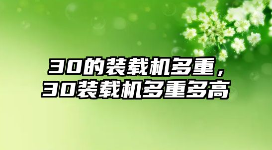 30的裝載機(jī)多重，30裝載機(jī)多重多高