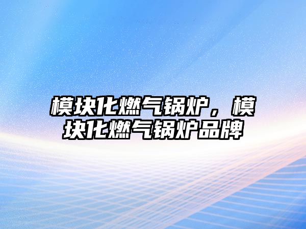 模塊化燃?xì)忮仩t，模塊化燃?xì)忮仩t品牌