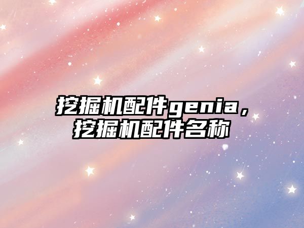 挖掘機配件genia，挖掘機配件名稱