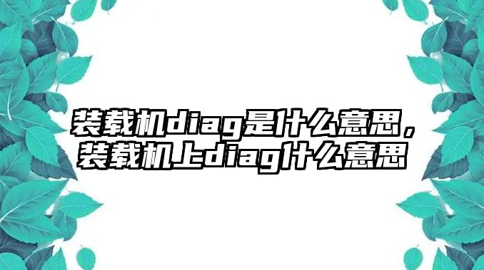 裝載機diag是什么意思，裝載機上diag什么意思