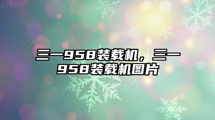 三一958裝載機(jī)，三一958裝載機(jī)圖片