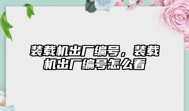 裝載機出廠編號，裝載機出廠編號怎么看