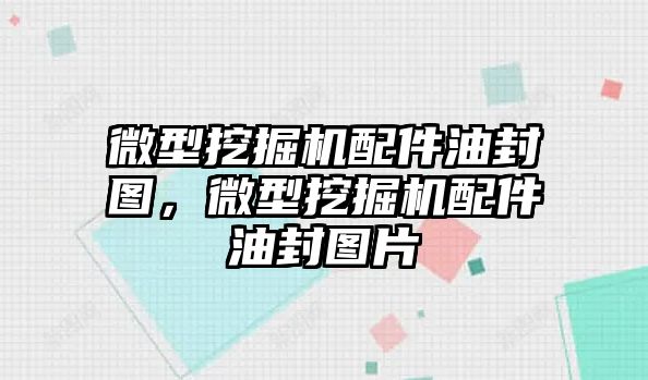 微型挖掘機配件油封圖，微型挖掘機配件油封圖片