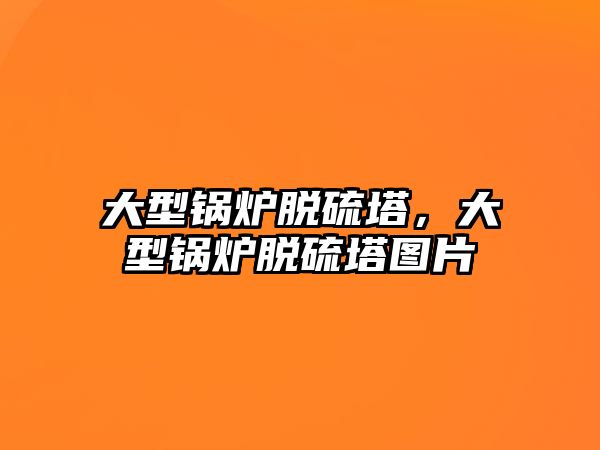 大型鍋爐脫硫塔，大型鍋爐脫硫塔圖片