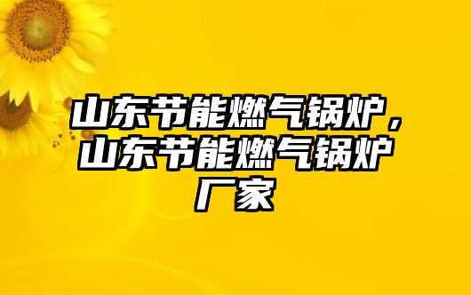 山東節(jié)能燃?xì)忮仩t，山東節(jié)能燃?xì)忮仩t廠家