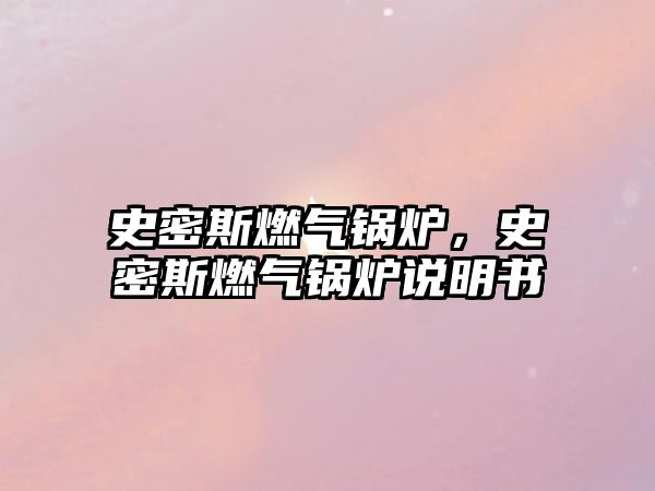 史密斯燃?xì)忮仩t，史密斯燃?xì)忮仩t說明書