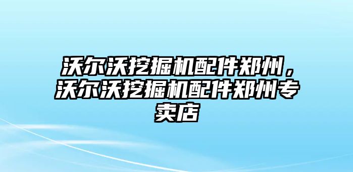 沃爾沃挖掘機(jī)配件鄭州，沃爾沃挖掘機(jī)配件鄭州專賣店