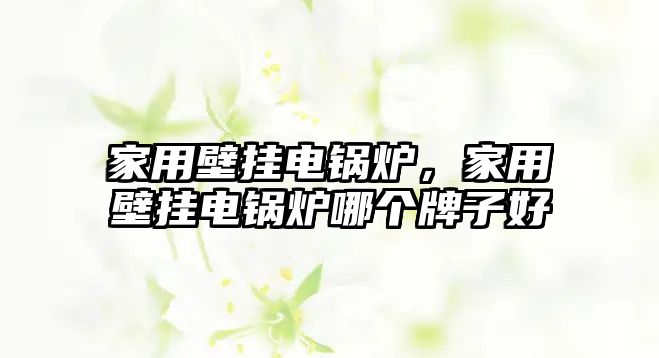 家用壁掛電鍋爐，家用壁掛電鍋爐哪個牌子好